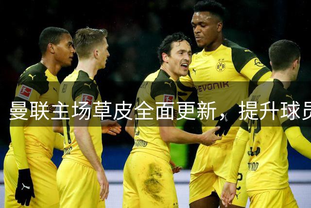 曼联主场草皮全面更新，提升球员安全与观赛体验