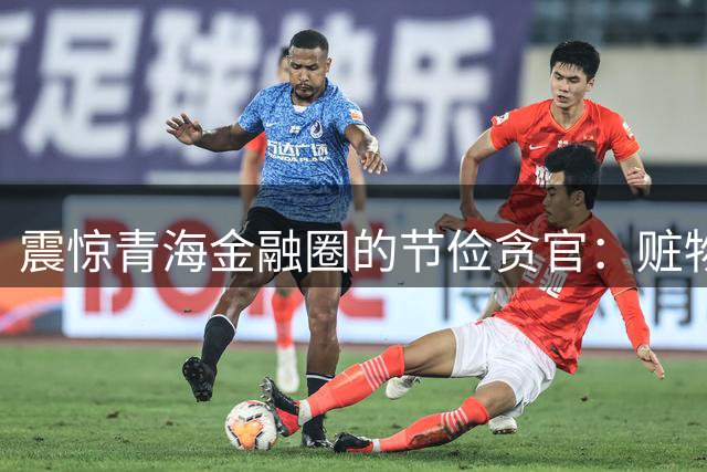 震惊青海金融圈的"节俭贪官"：赃物金条堆满屋 调查人员点数耗时数小时