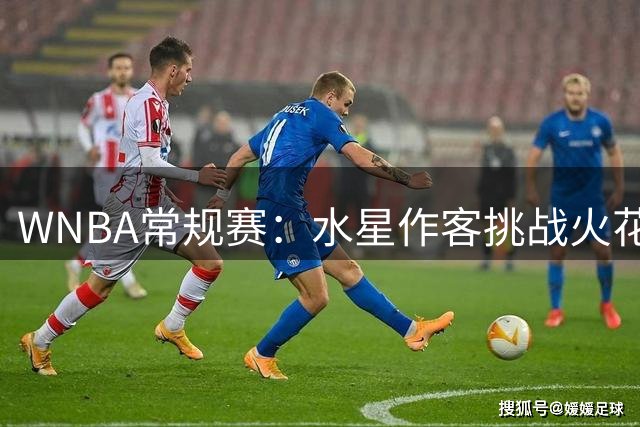 WNBA常规赛：水星作客挑战火花 普拉姆继续伤停